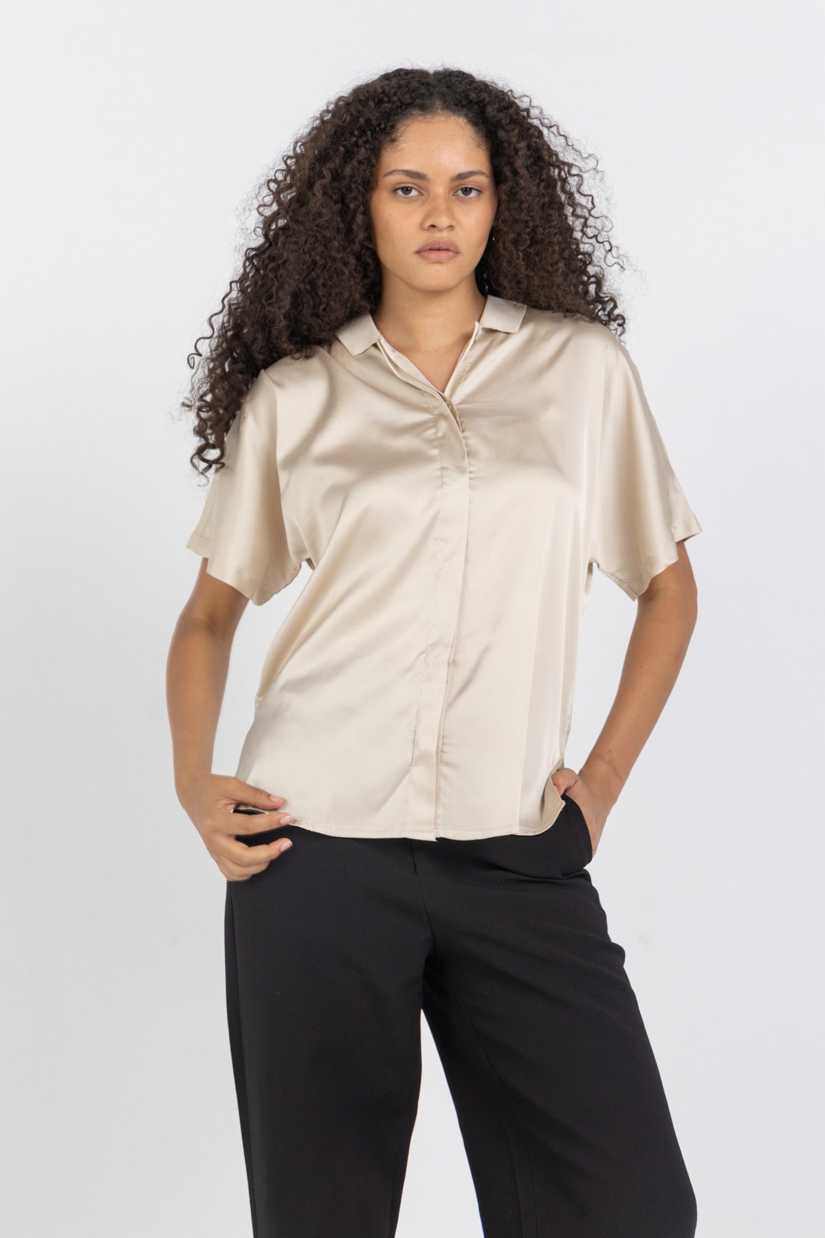 Beige Shine On Satin Blouse